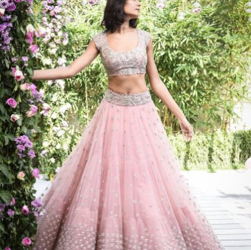 Panelled Lehenga  image
