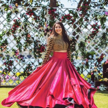 Gored Skirt  image